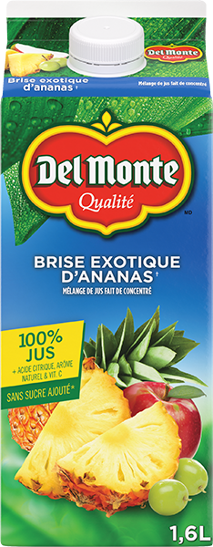 DEL MONTE BRISE EXOTIQUE D'ANANAS Gable Rex 1.6L